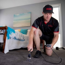 Carpet &amp; Upholstery Protection